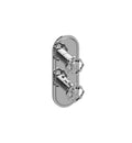 Transitional Two Hole Vertical Trim Plate with Cross Handles in Olive Bronze X90019