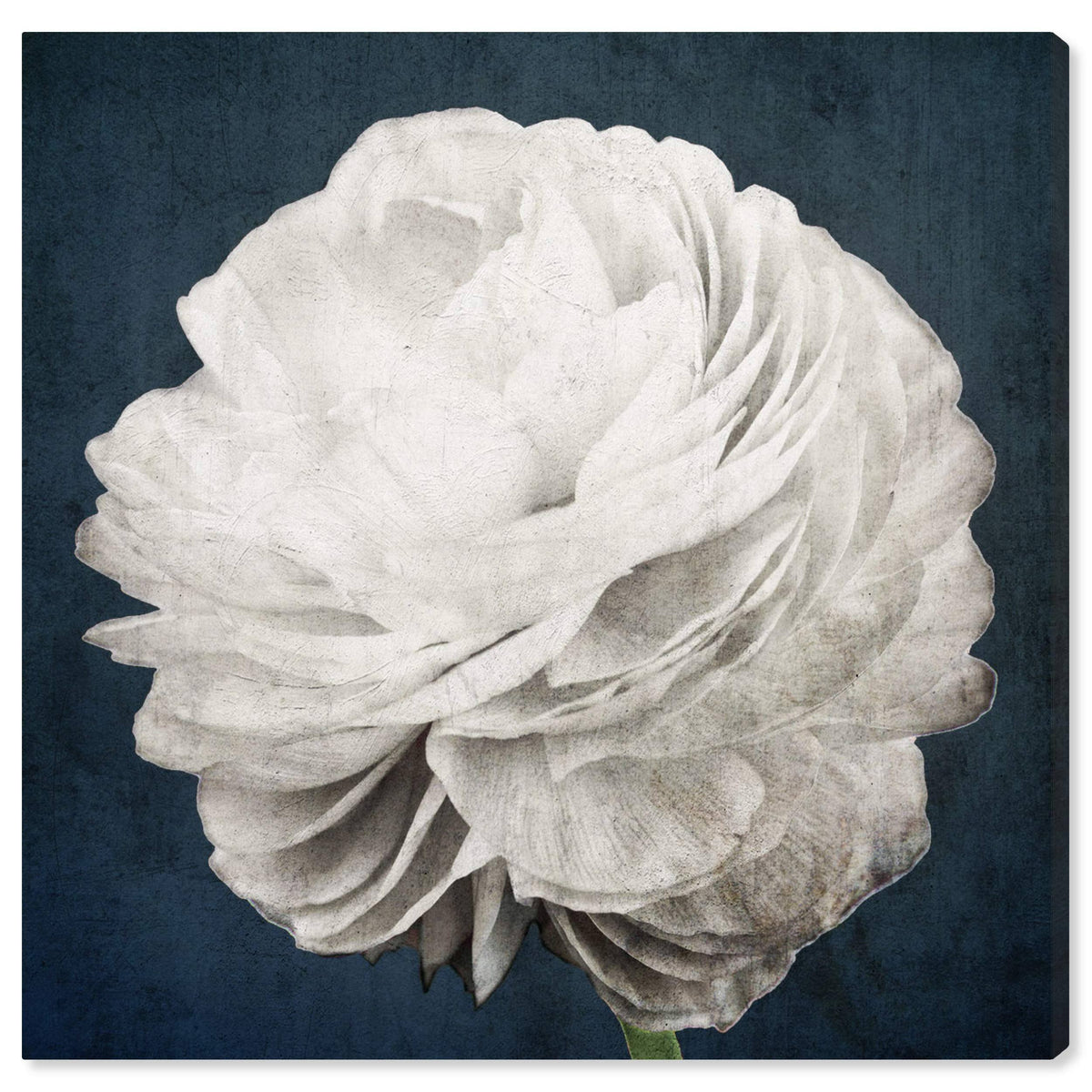White Floral and Botanical Canvas K7226