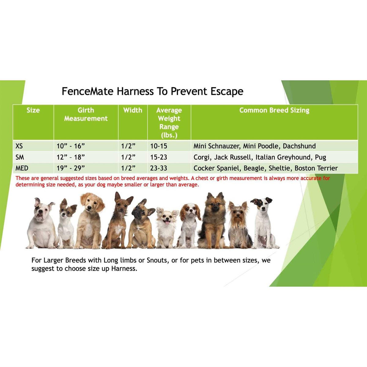 Dog Harness Q481478