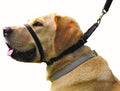 15-17-inch Collar Q402741