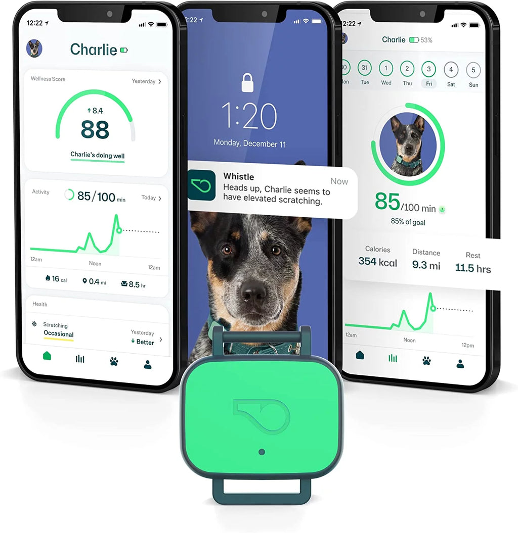 Dog Health and Fitness Tracker Y279834