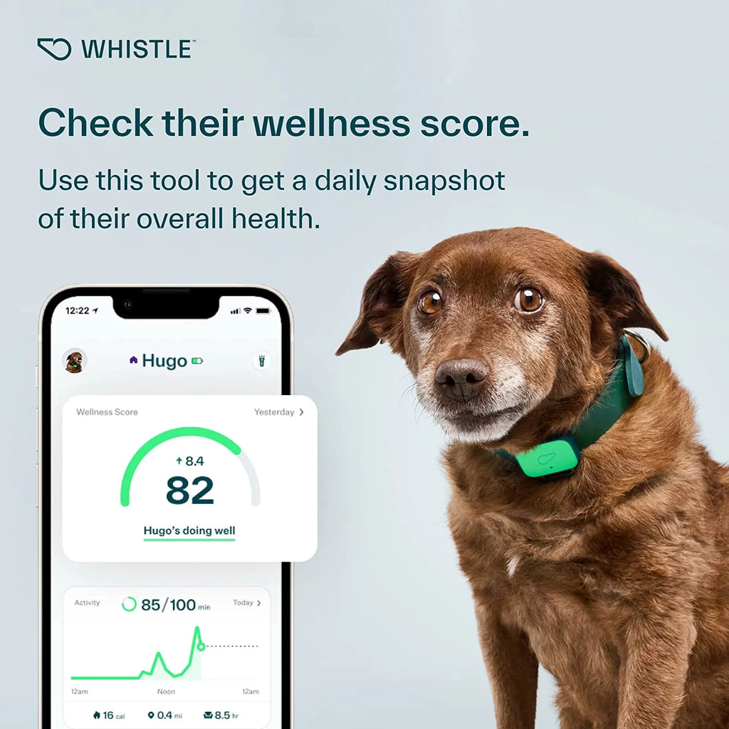 Dog Health and Fitness Tracker Y279834