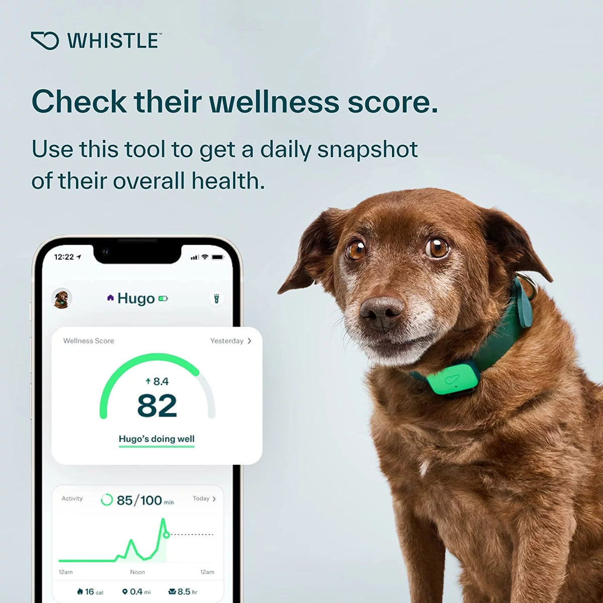 Dog Health and Fitness Tracker Y279834