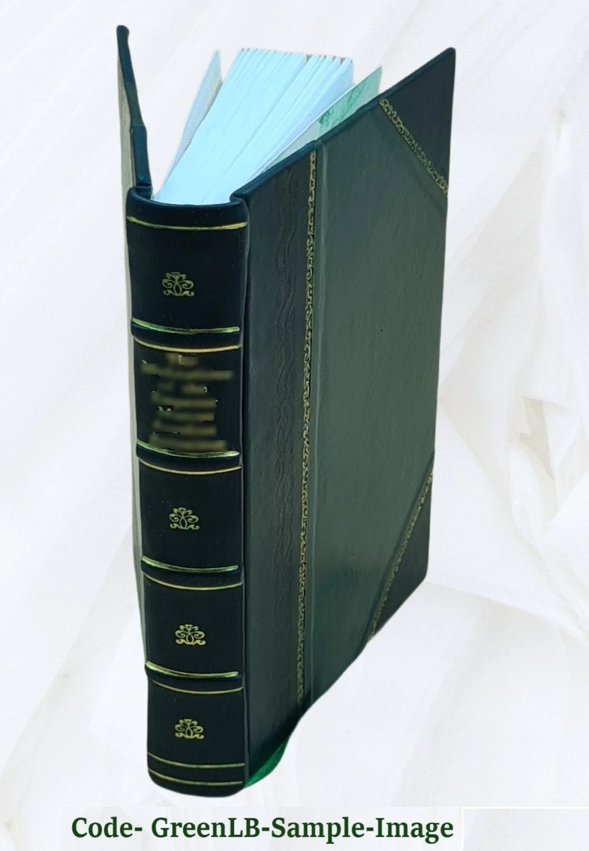 Leather Bound Book P693