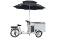 Electric Ice Cream Tricycle B39218