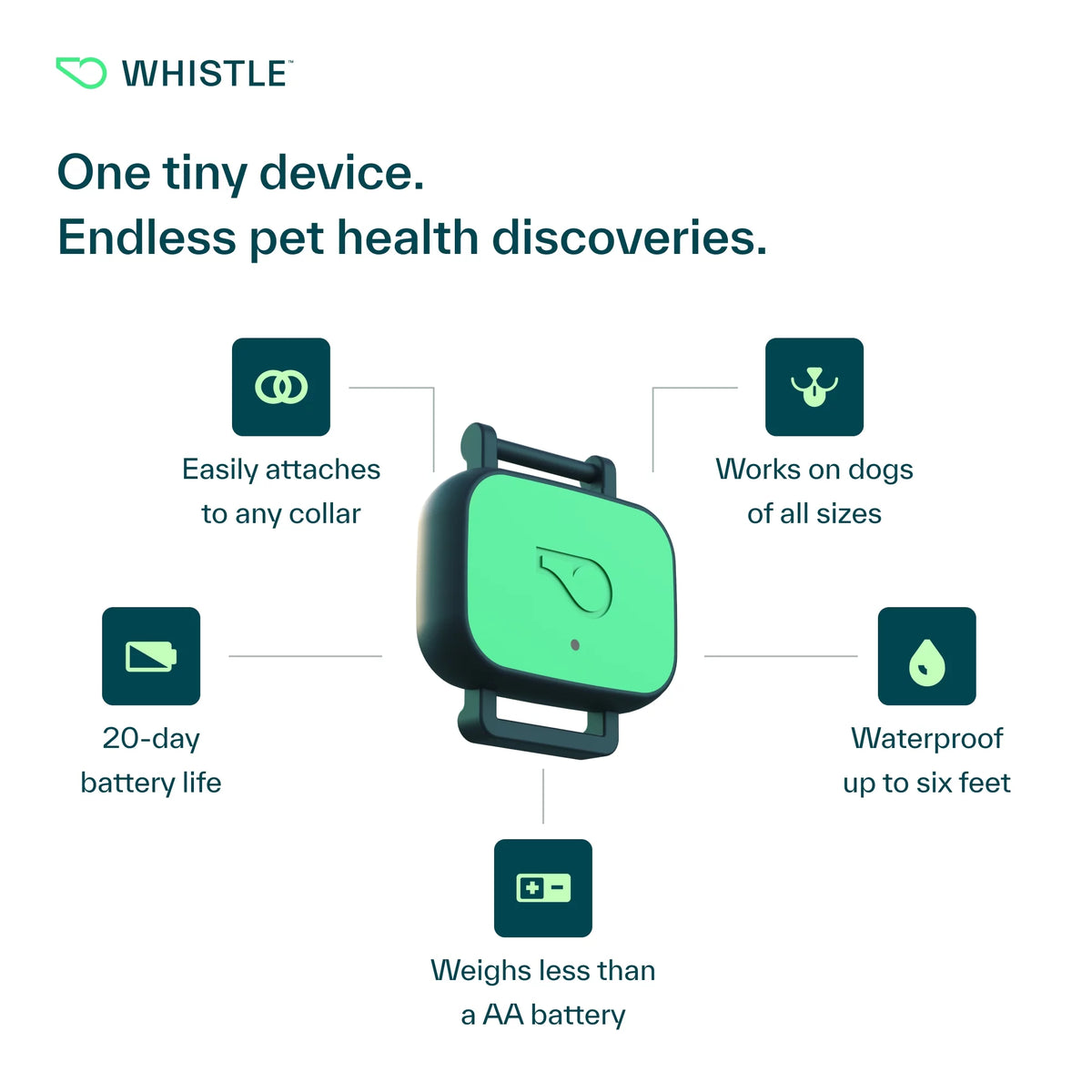 Dog Health and Fitness Tracker Y279834