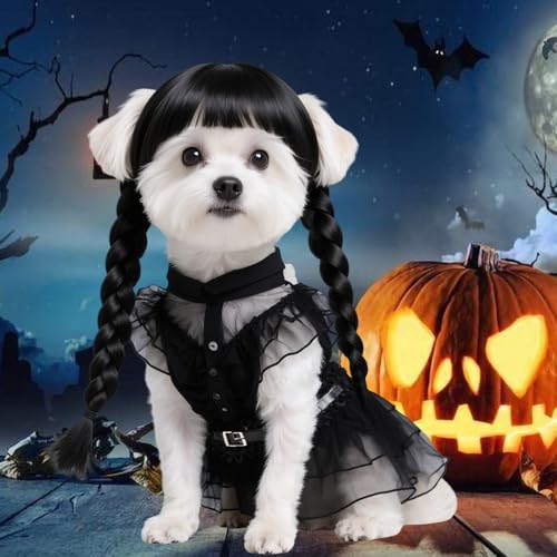 Black Dog Costume with Wig and Belt H813225