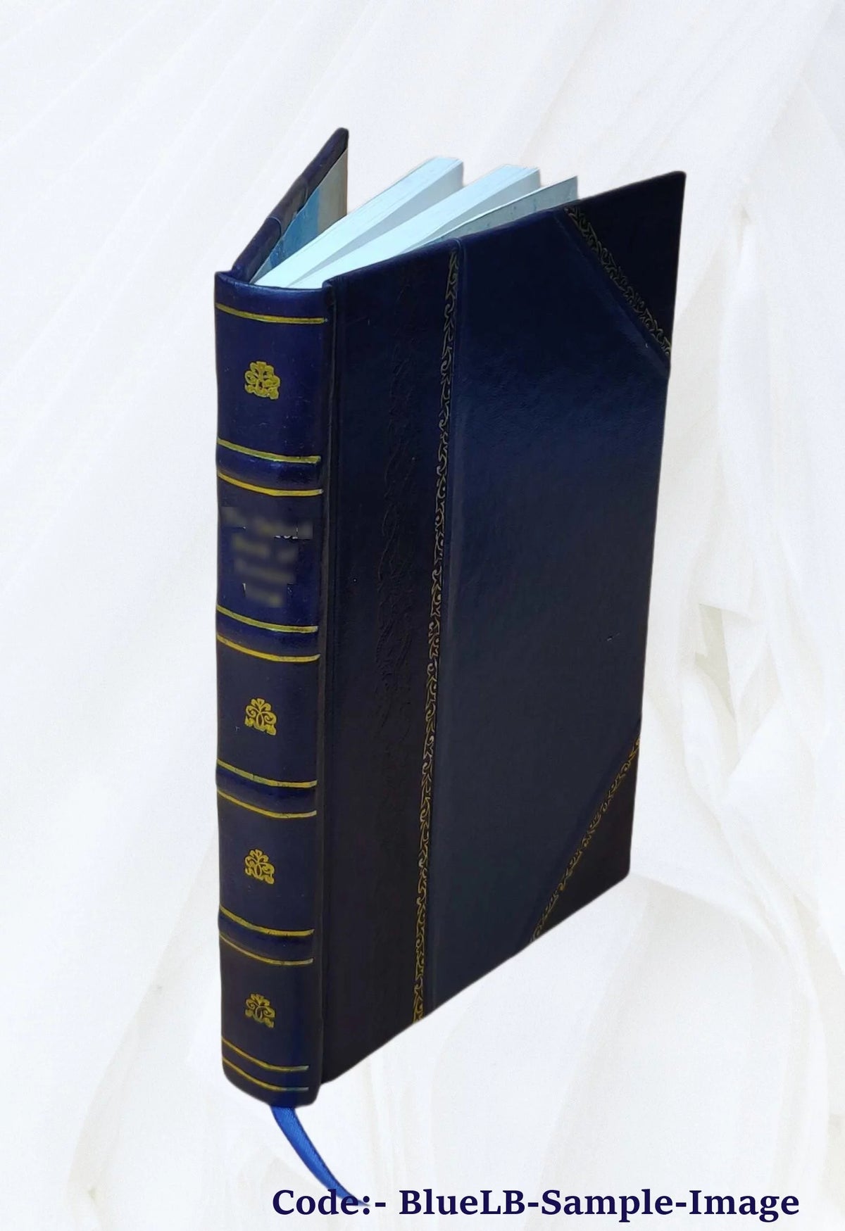 Leather Bound Home Furnishing N55873