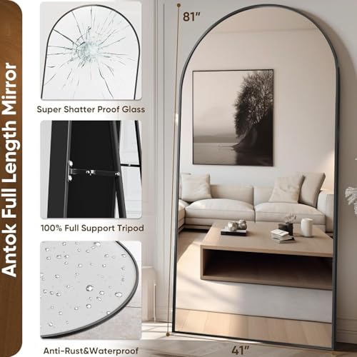 71"x32" Arched Black Full Length Mirror with Stand H8632