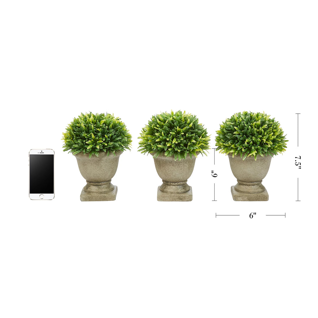 Artificial Podocarpus Grass Plant in Concrete Pot Set of 3 D28299