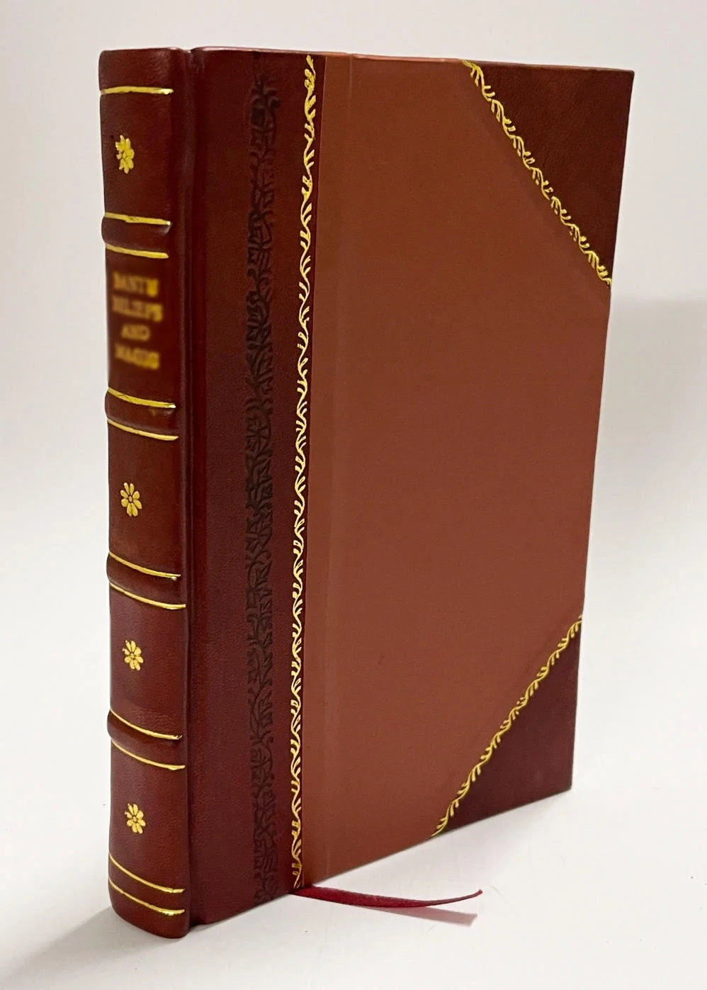 Leather Bound Scientific Paper F250