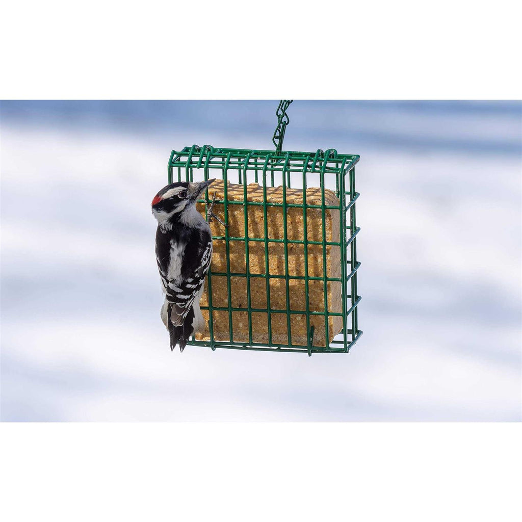 No-Melt Suet Dough Z150743