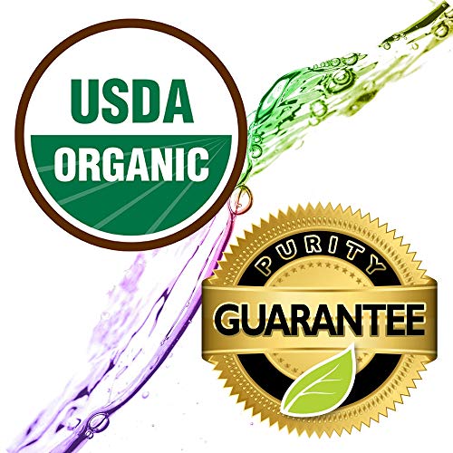 0.33 oz Organic Undiluted Pure Frankincense Essential Oil K591400