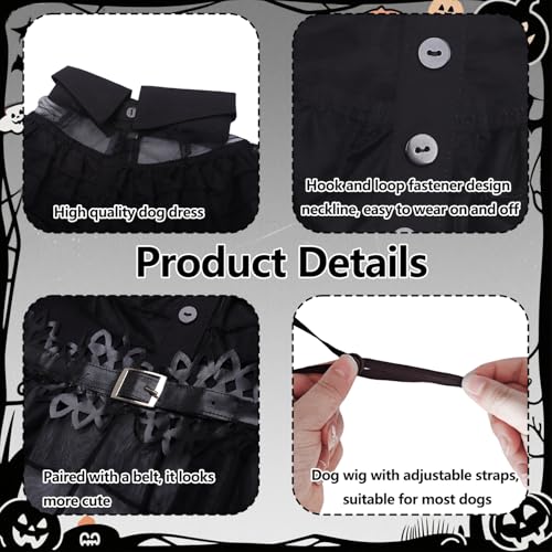 Black Dog Costume with Wig and Belt H813225