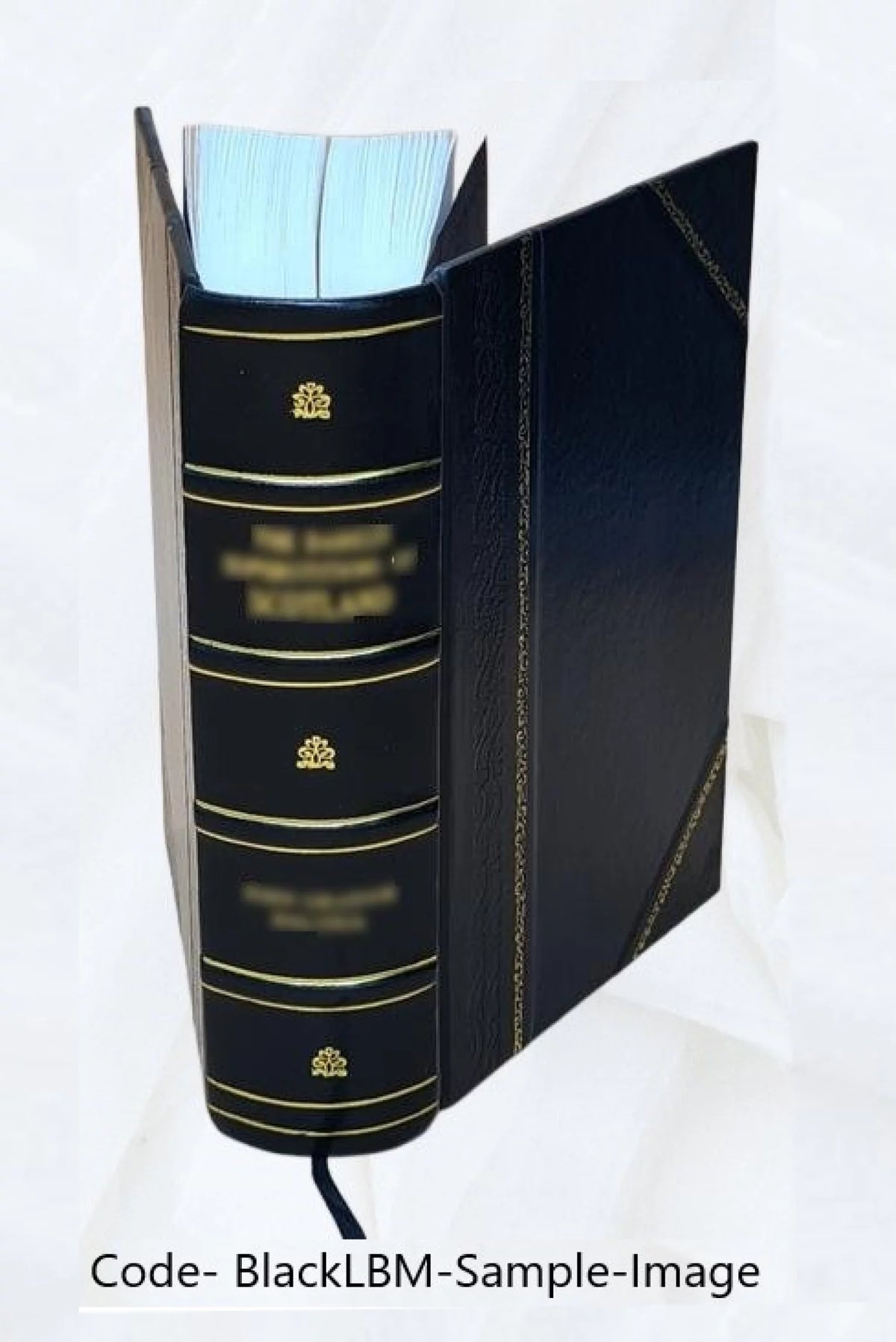 Leather Bound M829