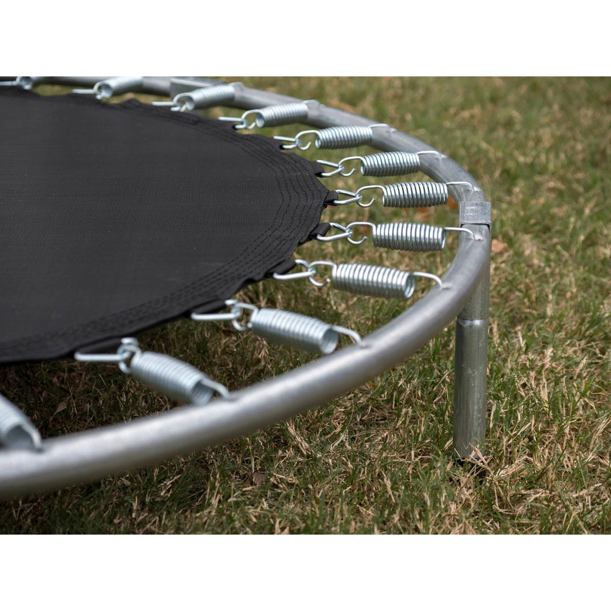 48 Inch Indoor Outdoor Bouncer D695