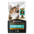 Kitten Dry Food M827489