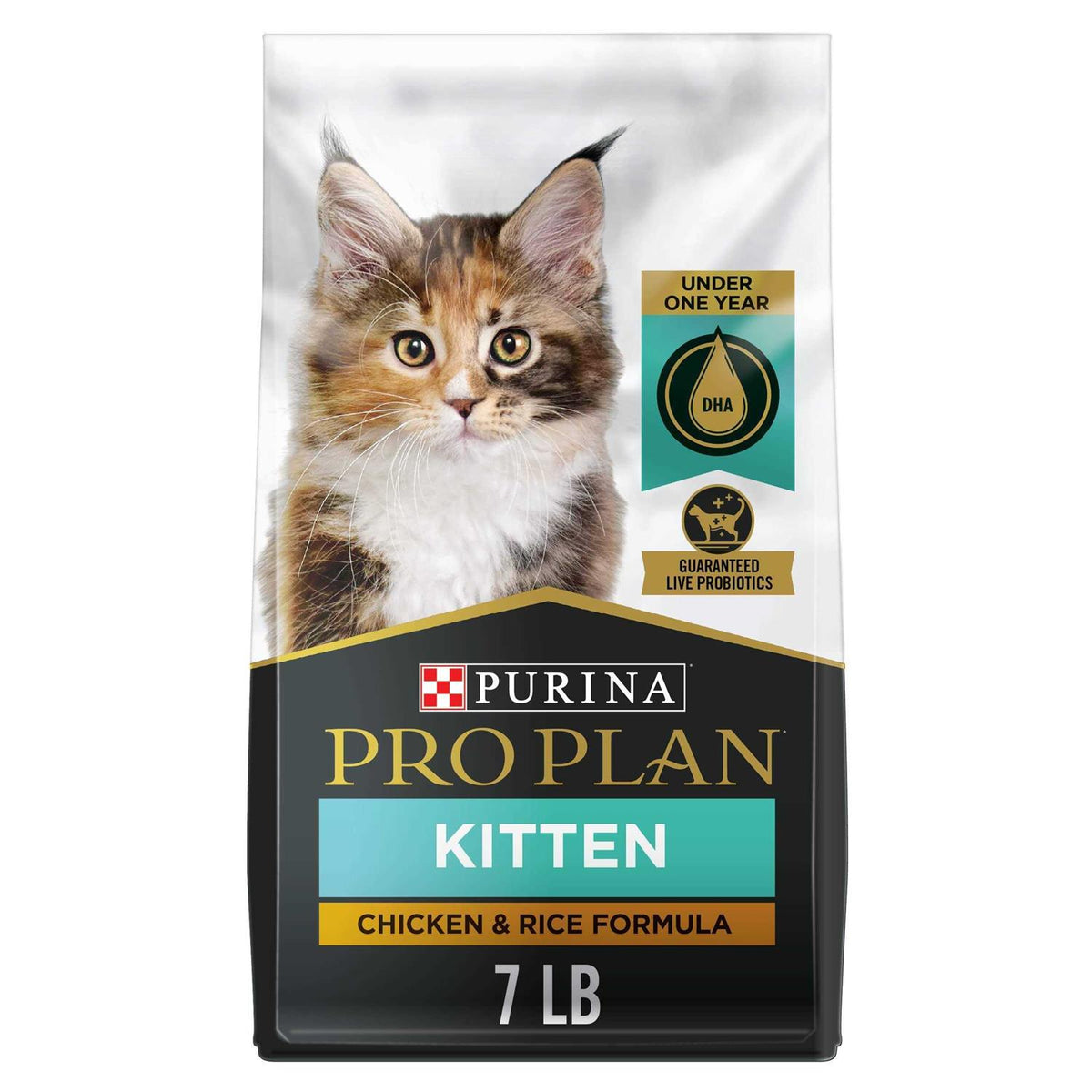 Kitten Dry Food M827489