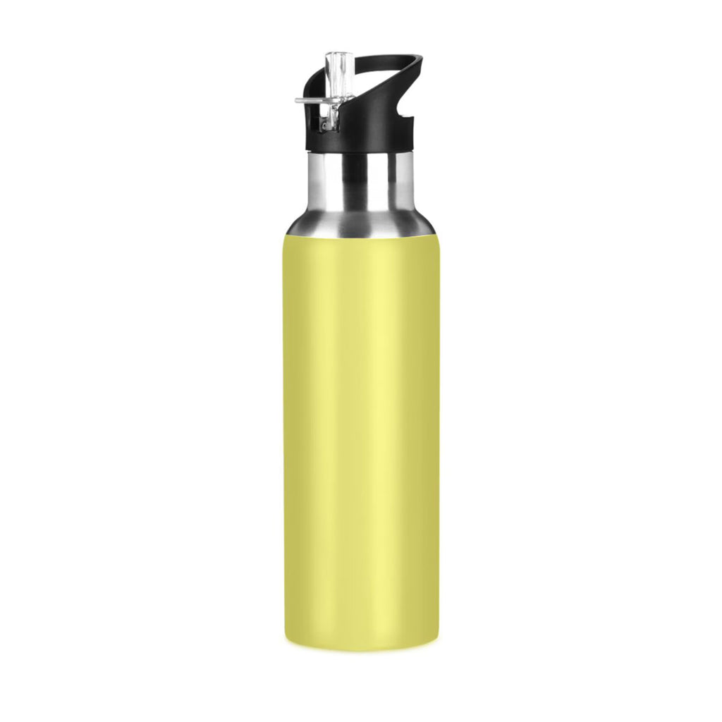 20 OZ Stainless Steel Vacuum Insulated Water Bottle with Straw Lid H447459