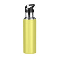 20 OZ Stainless Steel Vacuum Insulated Water Bottle with Straw Lid H447459