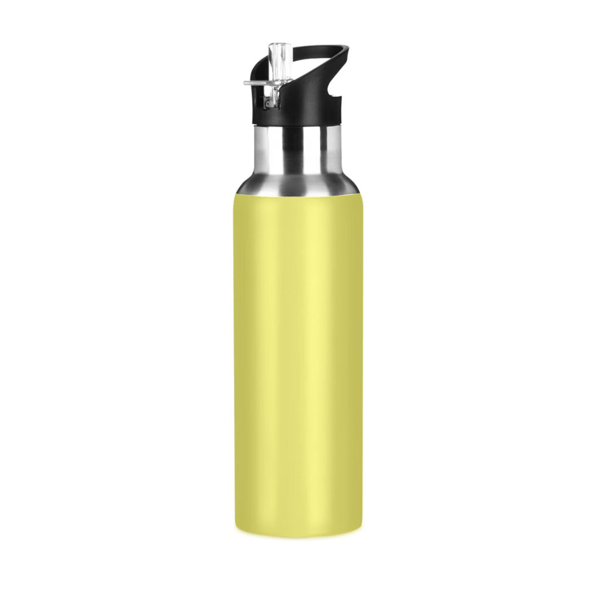 20 OZ Stainless Steel Vacuum Insulated Water Bottle with Straw Lid H447459
