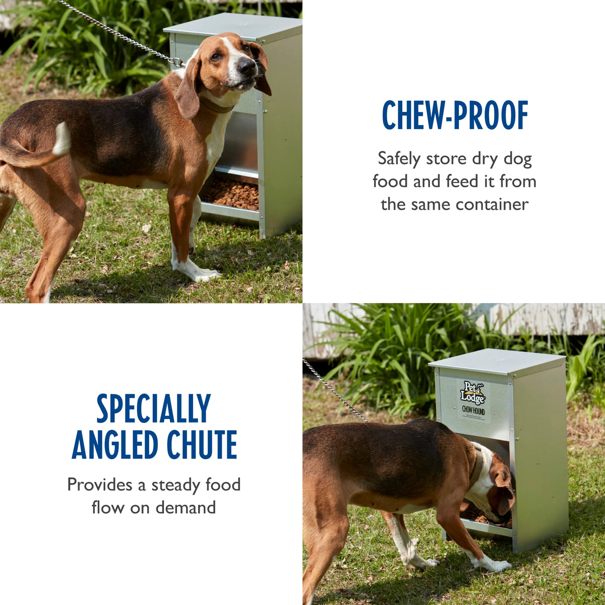 25 Pound Automatic Steel Dog Feeder (3 Pack) Z63039
