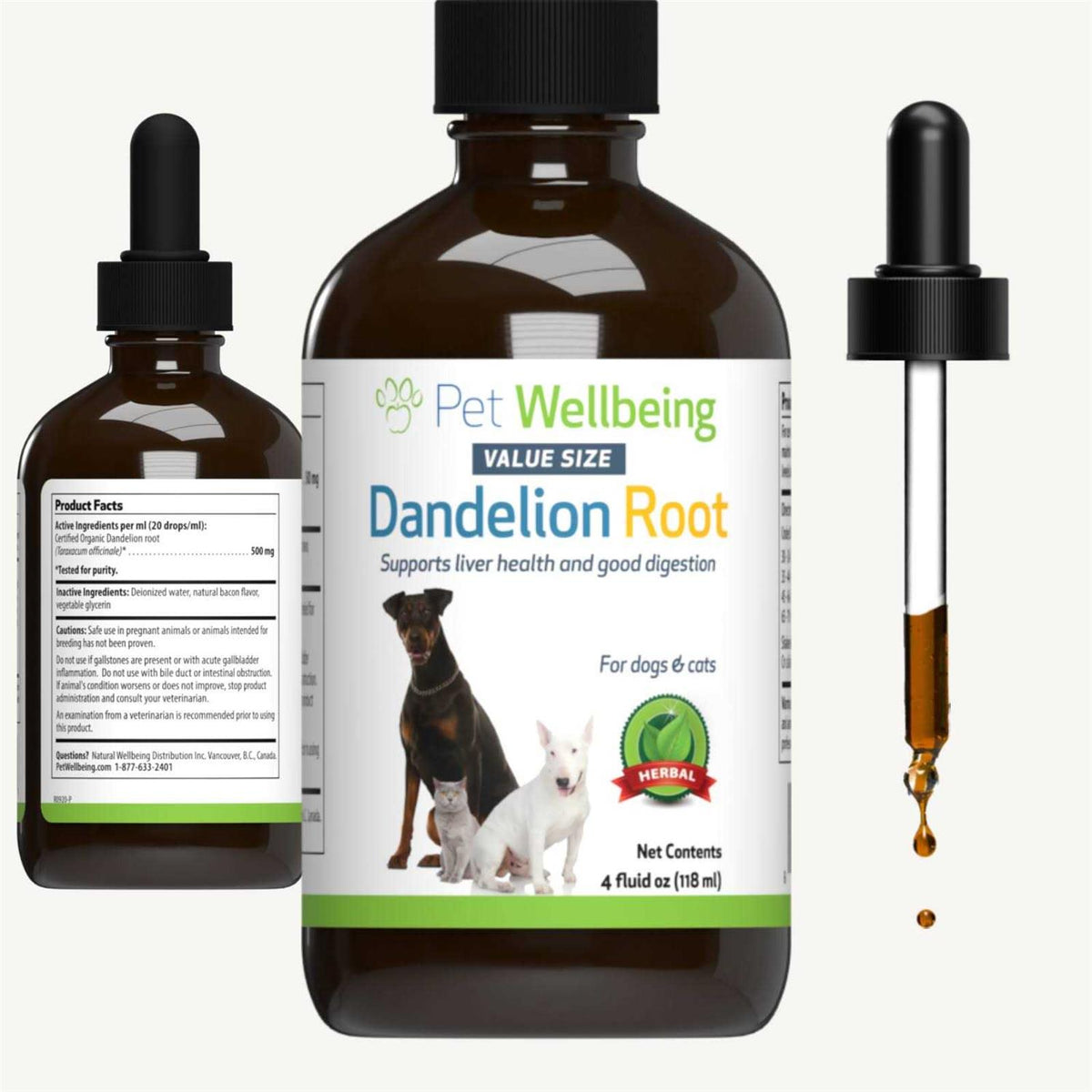Dandelion Root Liquid Digestive & Liver Supplement for Cats & Dogs R5501