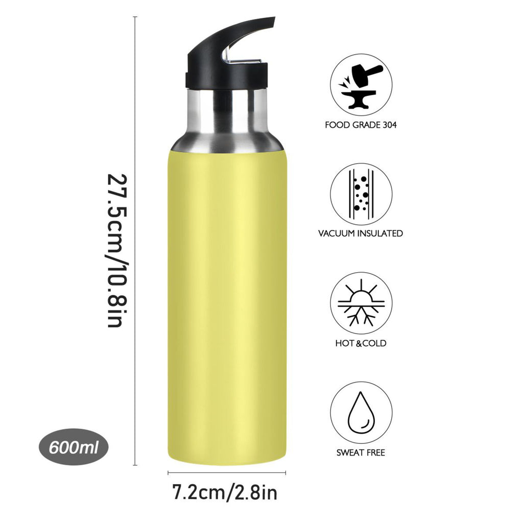 20 OZ Stainless Steel Vacuum Insulated Water Bottle with Straw Lid H447459