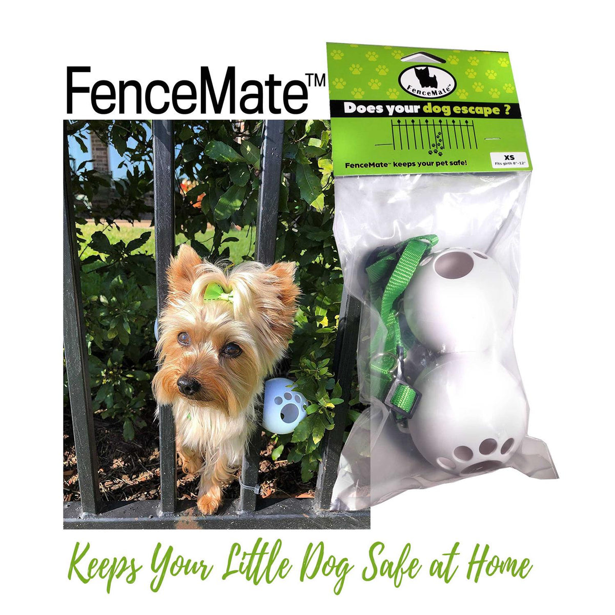 Dog Harness Q481478