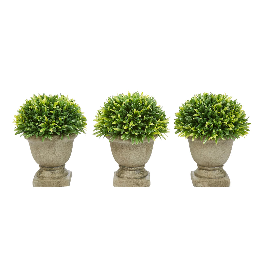 Artificial Podocarpus Grass Plant in Concrete Pot Set of 3 D28299