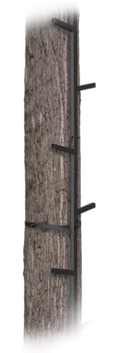 20ft Reach Climbing System Y326958