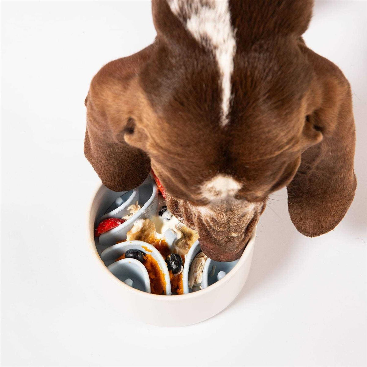 Silicone Bowl Insert Dog Feeding Mat I110
