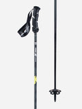 Ski Poles I9954
