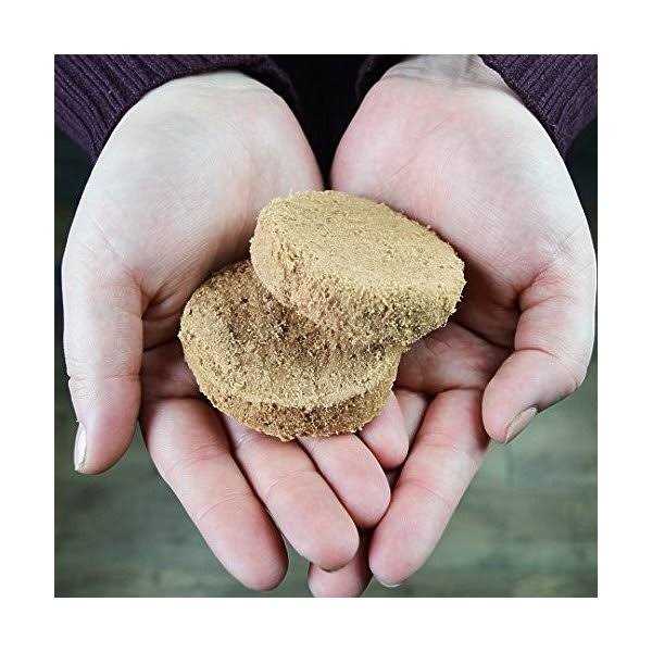 Freeze Dried Dog Food Dinner Patties Venison Blend B261923