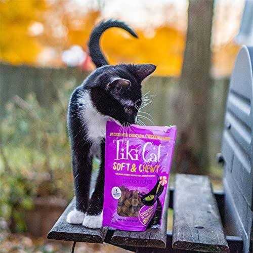 Chicken Soft & Chewy Cat Treats U863