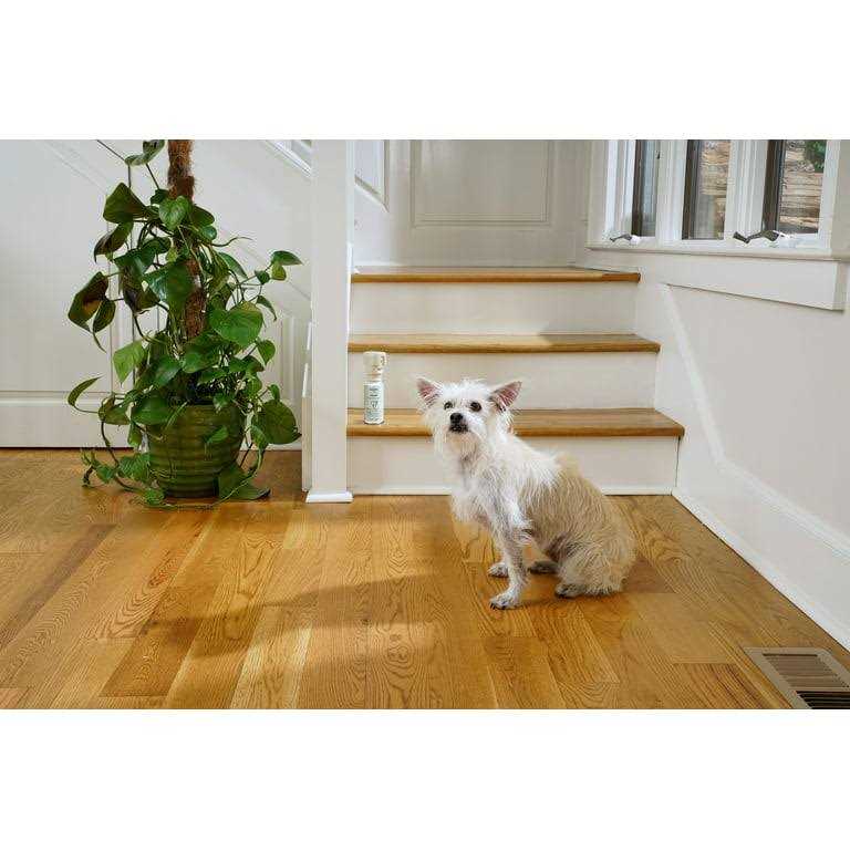 Pet Deterrent Spray F79831
