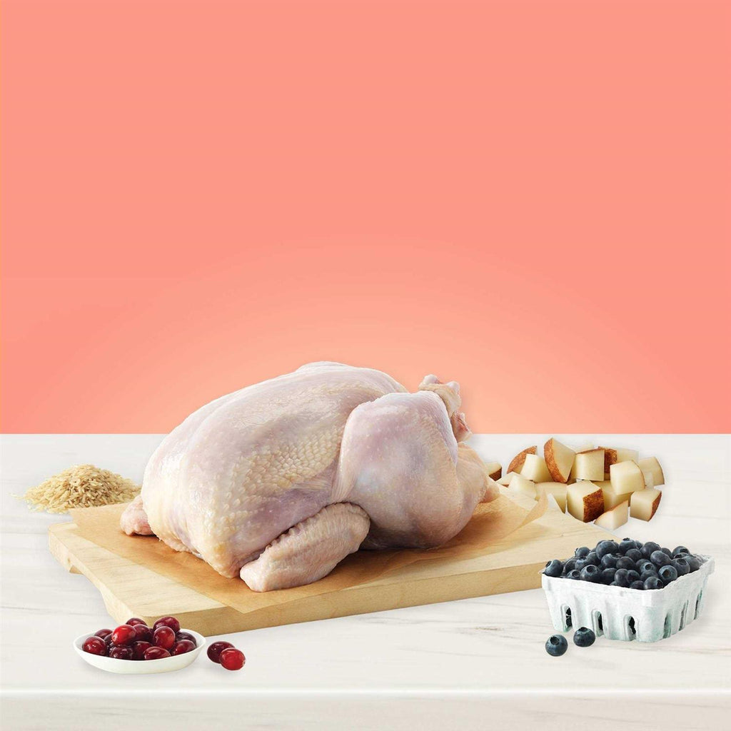 Chicken Adult Dry Dog Food M790427