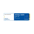 250GB NVMe M.2 2280 Solid State Drive V333
