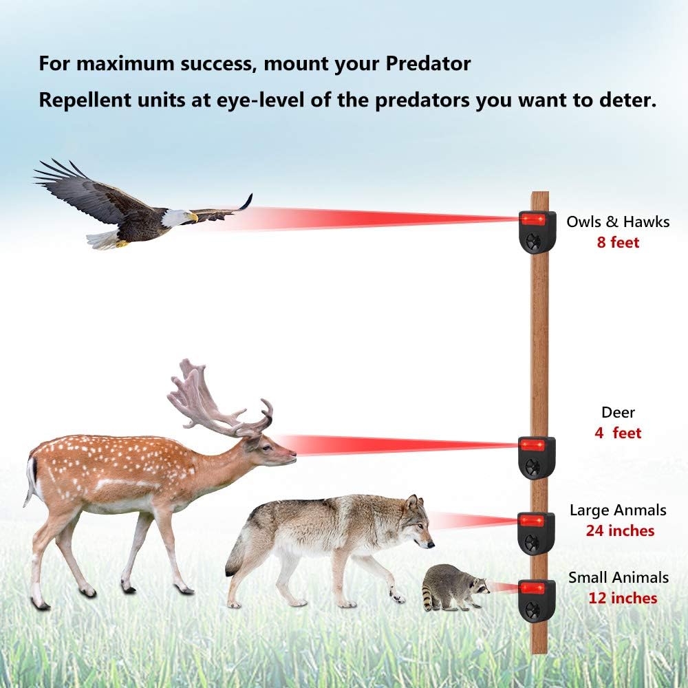 Pack of 8 Solar Powered Animal Deterrent Light A3832
