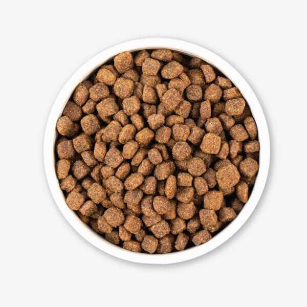 Grain Free Dry Dog Food J5090