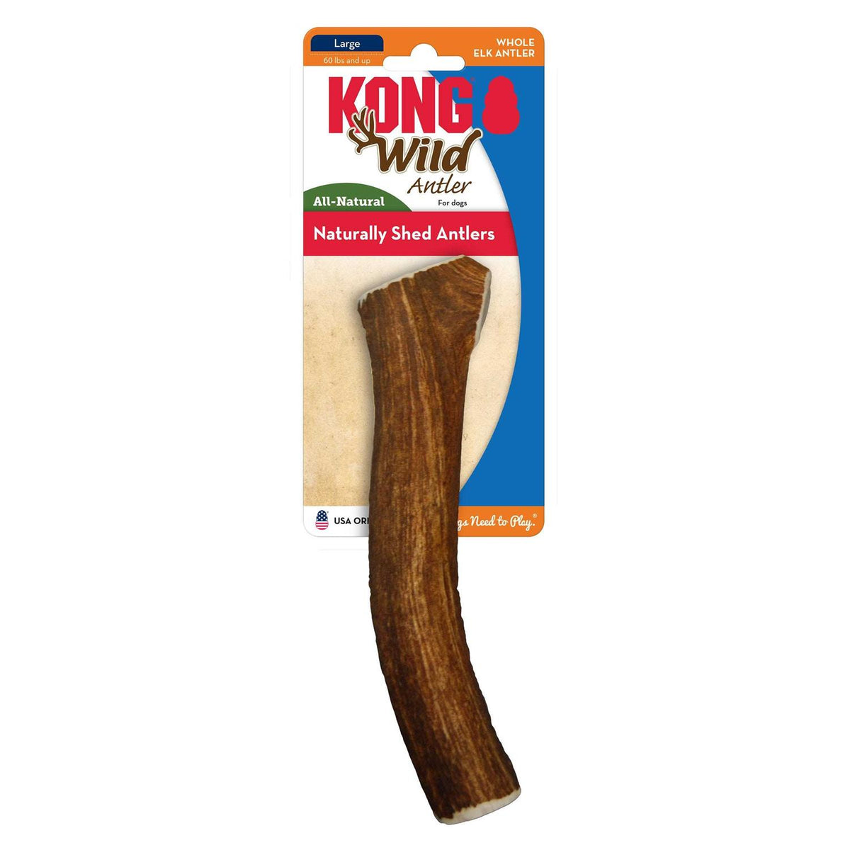 Whole Wild Elk Antler I9989