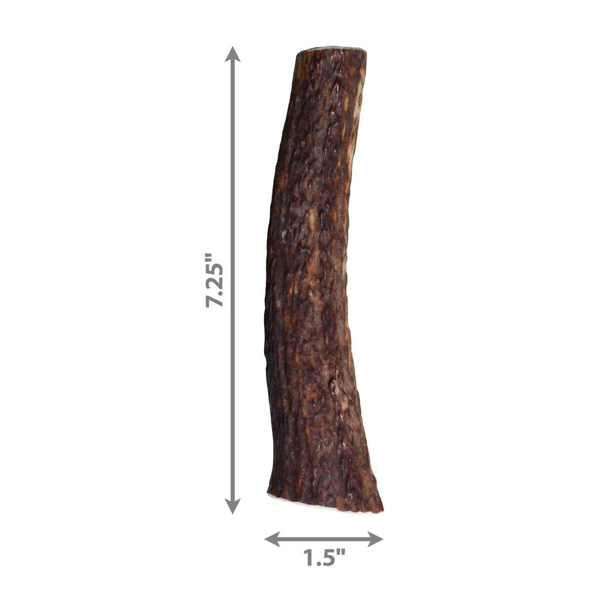 Whole Wild Elk Antler I9989