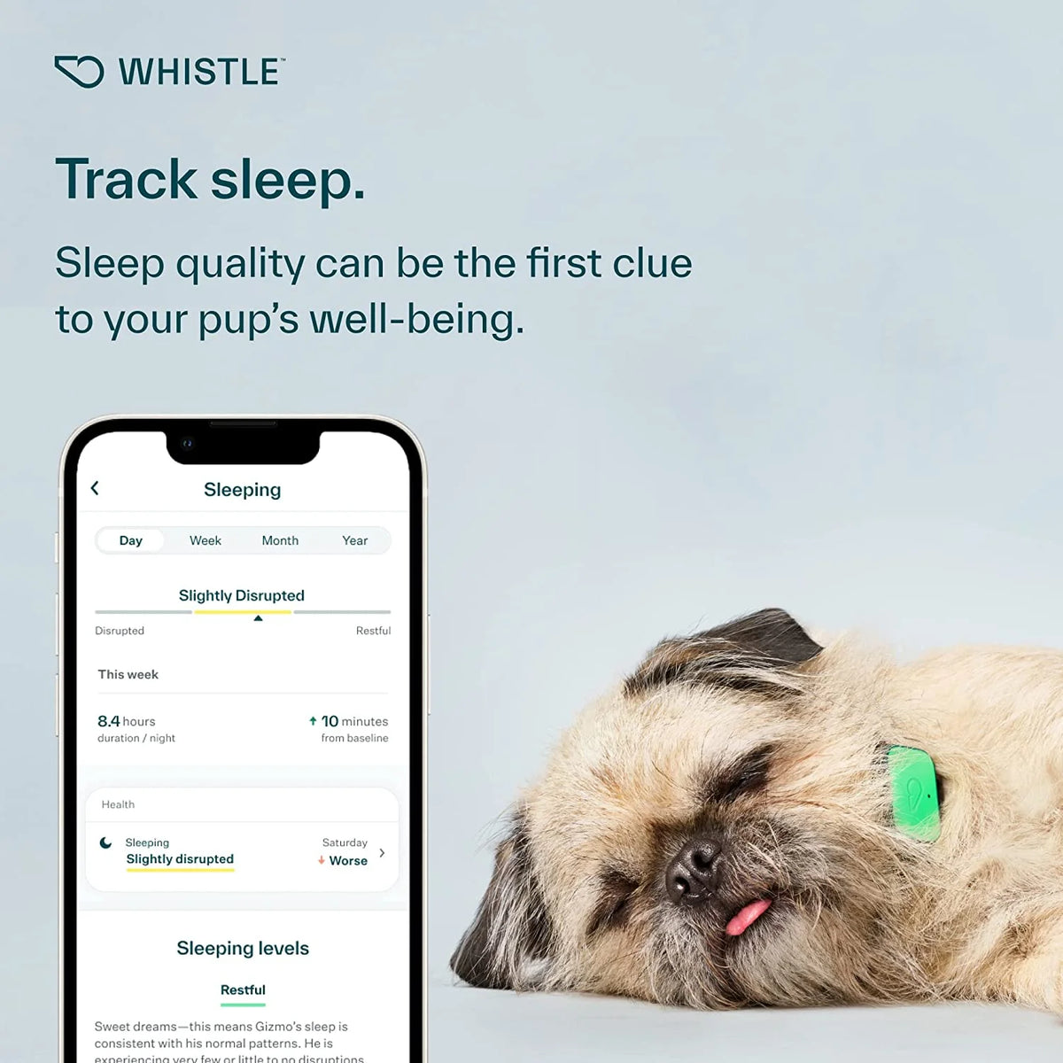Dog Health and Fitness Tracker Y279834