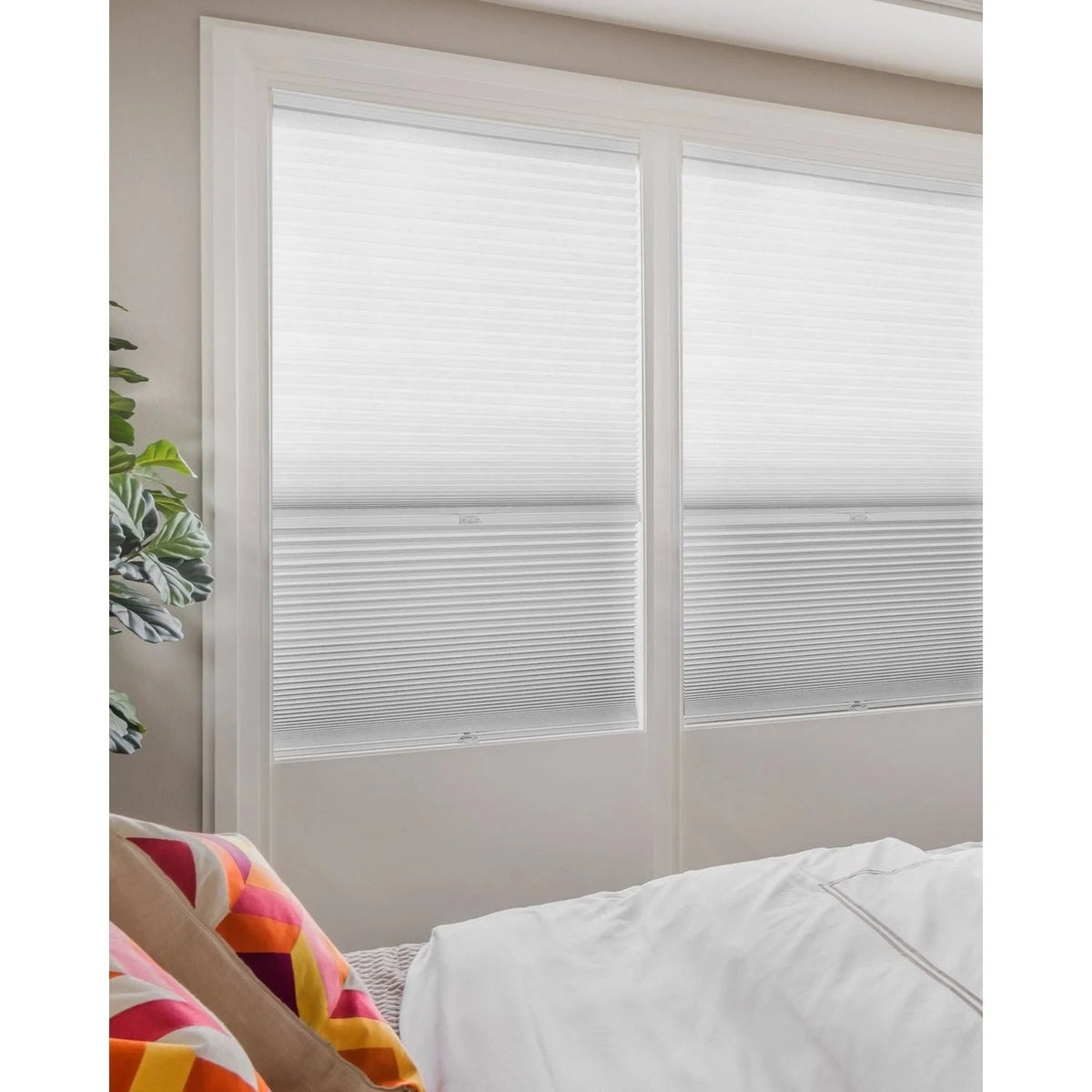 Cordless Cellular Shades G820