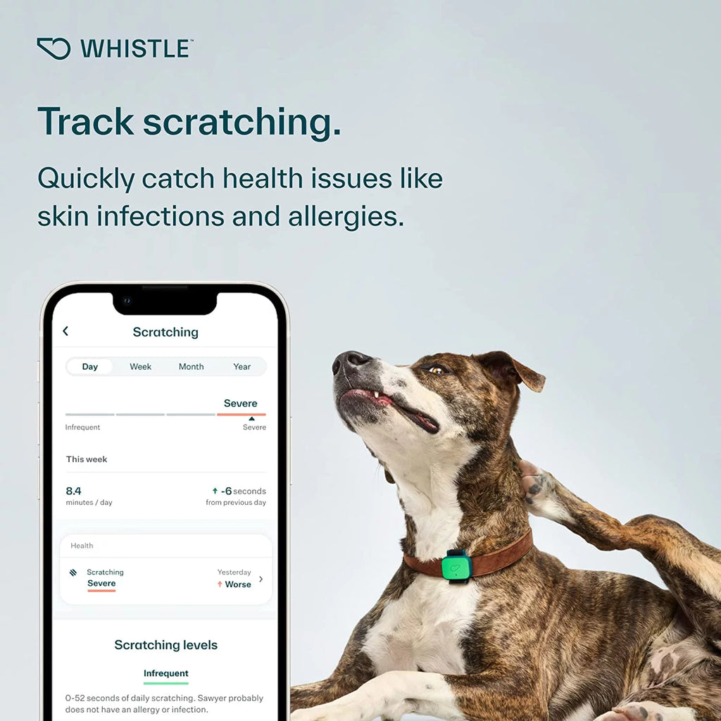 Dog Health and Fitness Tracker Y279834