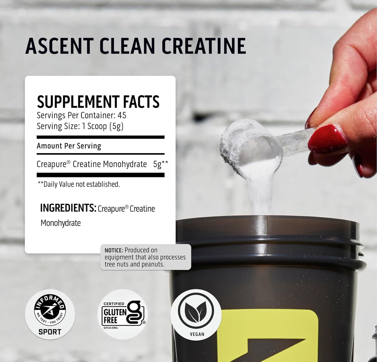 100% Whey Protein Powder, Chocolate Peanut Butter 4 lb & Creatine Monohydrate Powder, Unflavored 45 Servings H6582