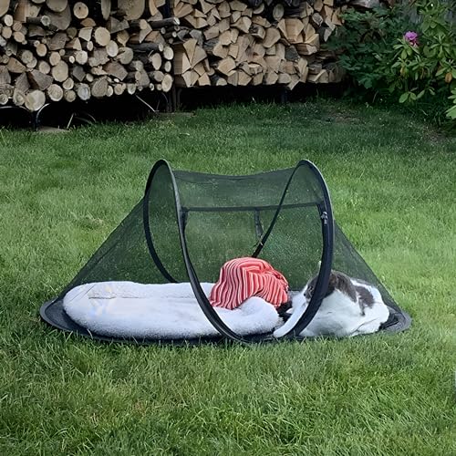 Portable Outdoor Cat Enclosure with Tunnel and Storage Bag Q90899