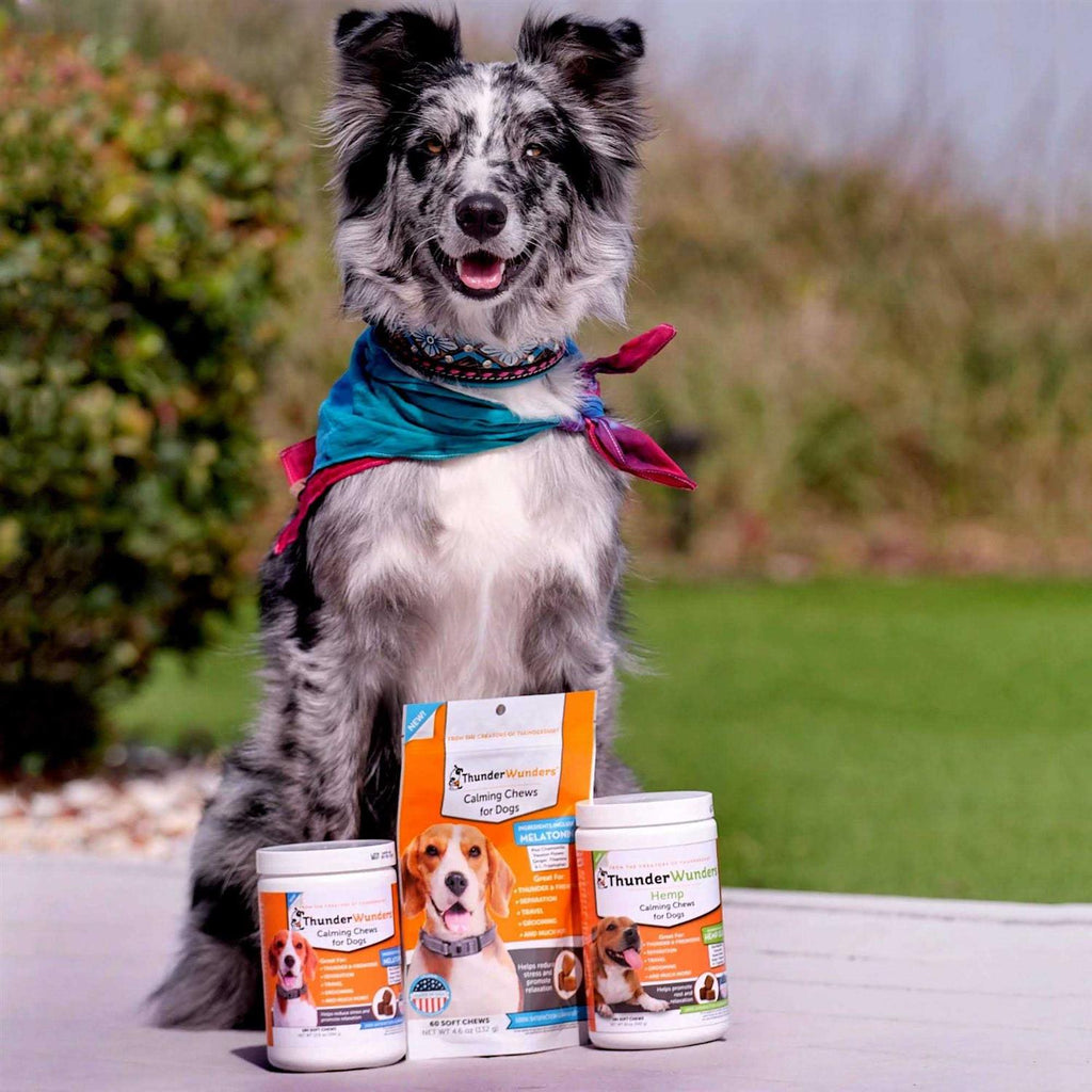 Calming Dog Chews D313607