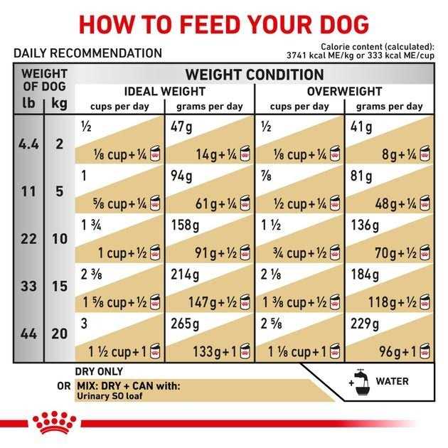 Dry Dog Food O280