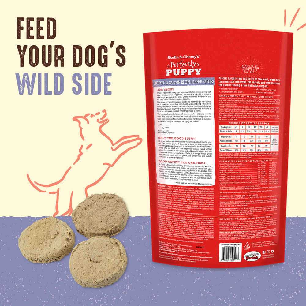 Freeze-Dried Raw Dog Food Salmon Patties Q168348